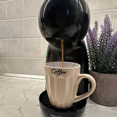 Little Nest Apartament Florina