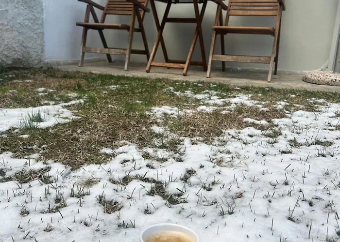 Little Nest Apartament *